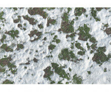 잔디에 눈 내린 배경