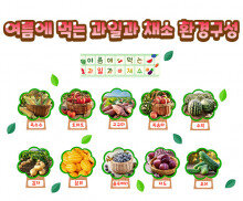 여름에 먹는 과일과 채소 환경구성