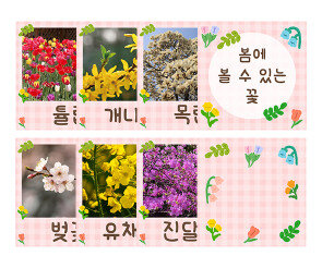 봄에 볼 수 있는 꽃 카드