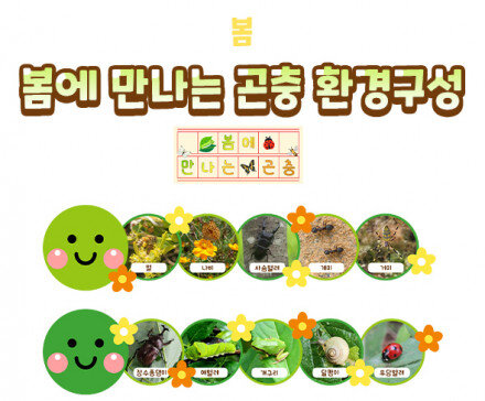 봄에 만나는 곤충 환경구성