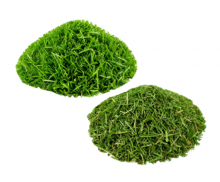 자른 풀더미(동물먹이용)