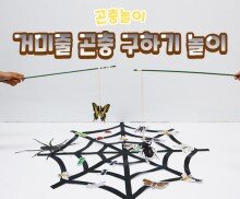 거미줄 곤충 구하기 놀이