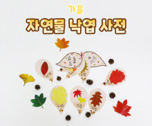 자연물 낙엽 사전