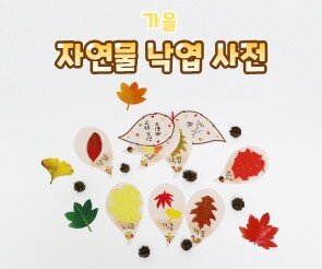 자연물 낙엽 사전