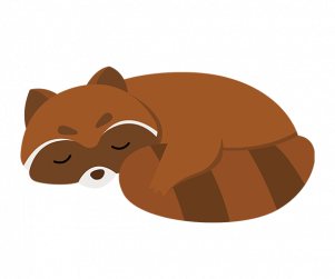 겨울잠 자는 너구리