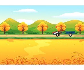 가을 논밭 배경