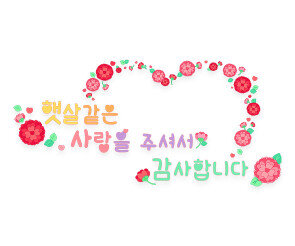 햇살 같은 사랑을 주셔서 감사합니다 레터링