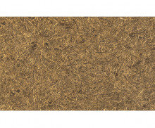 가을 잔디 배경