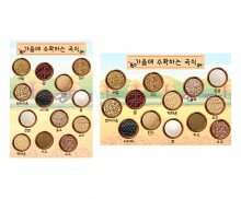 가을에 수확하는 곡식