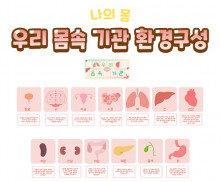 우리 몸속 기관 환경구성