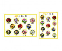 여름에 피는 꽃