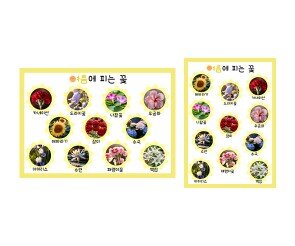 여름에 피는 꽃