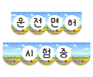 운전 면허 시험 중 가랜드