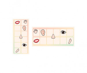 나의 신체기관 원고지 레터링(문구없음)