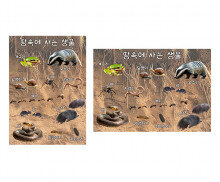 땅속에 사는 생물