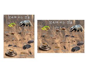 땅속에 사는 생물