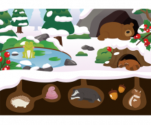 겨울잠 자는 동물 배경