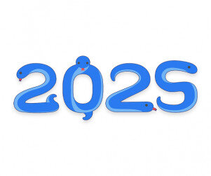 2025 푸른 뱀 레터링