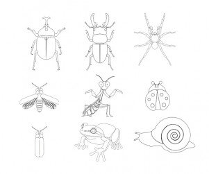 곤충 색칠 모음