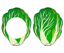 맛있는 김장 만들기 배추 가랜드 개별도안