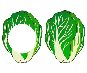 맛있는 김장 만들기 배추 가랜드 개별도안