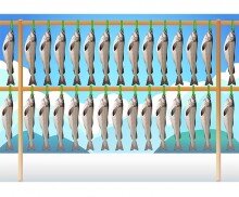 황태 덕장 배경