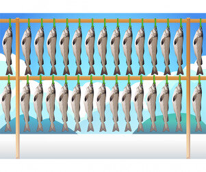 황태 덕장 배경