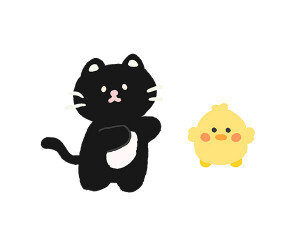 검은 고양이,병아리