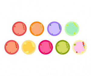 탕후루 라벨 9종(문구없음)