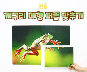 개구리 대형 퍼즐 맞추기