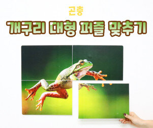 개구리 대형 퍼즐 맞추기