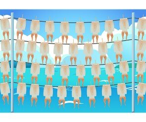 오징어 덕장 배경