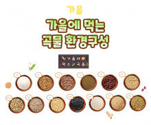 가을에 먹는 곡물 환경구성