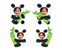 대나무(개운죽)와 판다 합성이미지