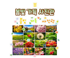 봄빛 가득 사진관