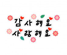 감사해요 사랑해요 레터링