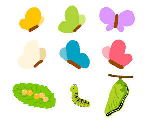 나비,알,애벌레,고치