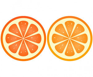 [개별도안] 새콤달콤 맛있는 귤 가랜드