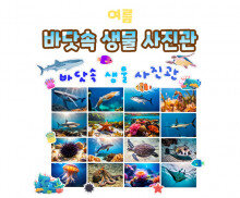 바닷속 생물 사진관