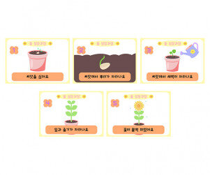 꽃 성장과정 순서도