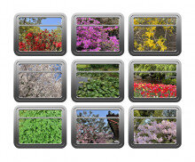 [개별도안] 봄 풍경 기차 창문