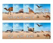 사막에 살고 있어요 카드