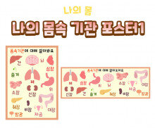 나의 몸속 기관 포스터