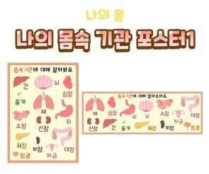 나의 몸속 기관 포스터