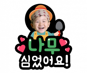 나무 심었어요 토퍼