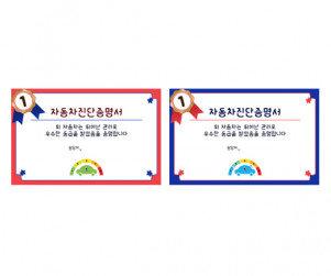 자동차 진단 증명서