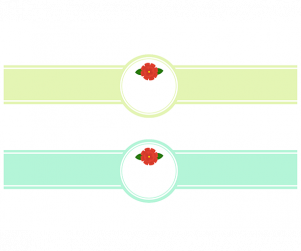 카네이션 선물 띠지