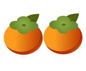 똑똑 가을이 왔어요 가랜드 개별도안